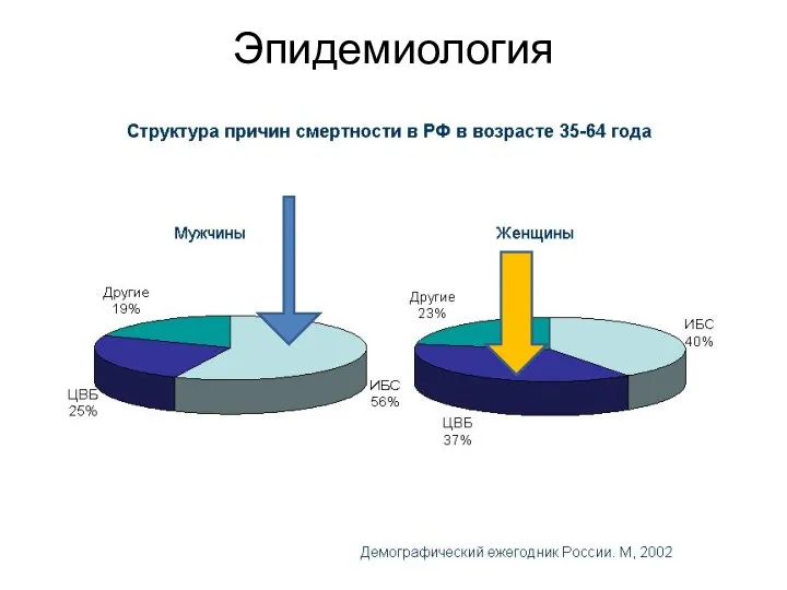 Эпидемиология ИБС, инфаркт инсульт