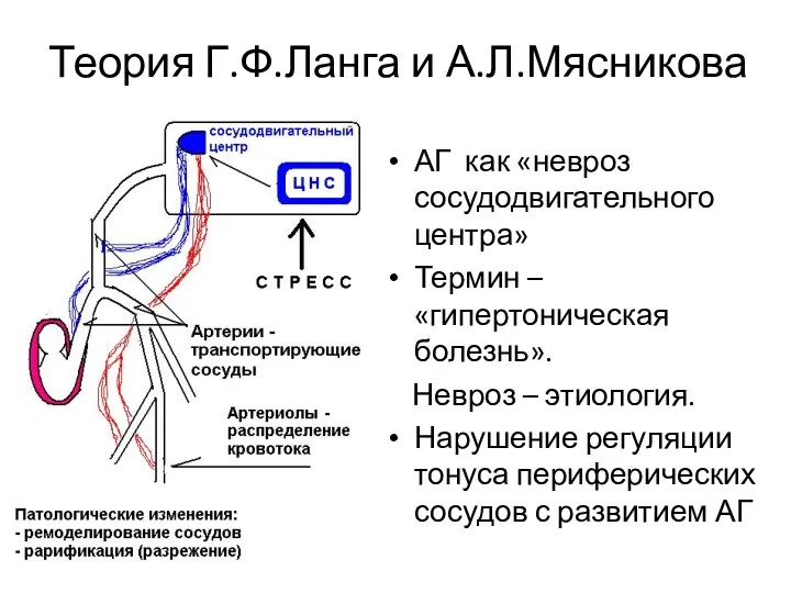Теория Г.Ф.Ланга и А.Л.Мясникова АГ как «невроз сосудодвигательного центра» Термин