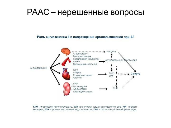 РААС – нерешенные вопросы