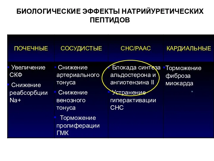 БИОЛОГИЧЕСКИЕ ЭФФЕКТЫ НАТРИЙУРЕТИЧЕСКИХ ПЕПТИДОВ