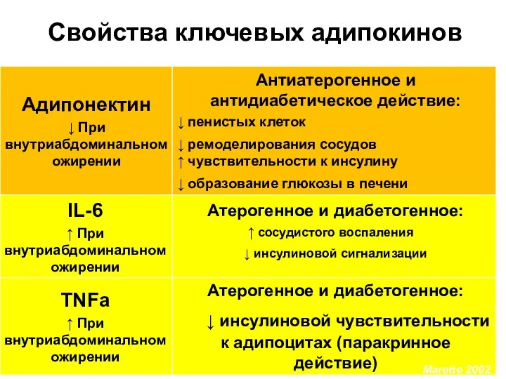 Свойства ключевых адипокинов Marette 2002