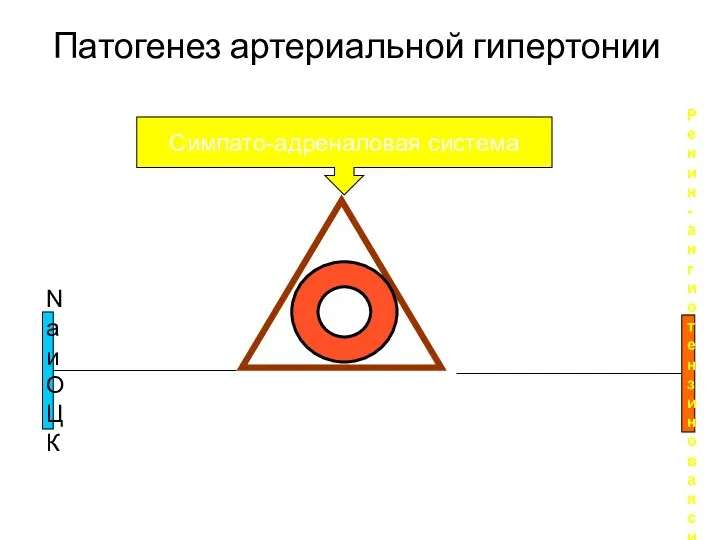 Патогенез артериальной гипертонии