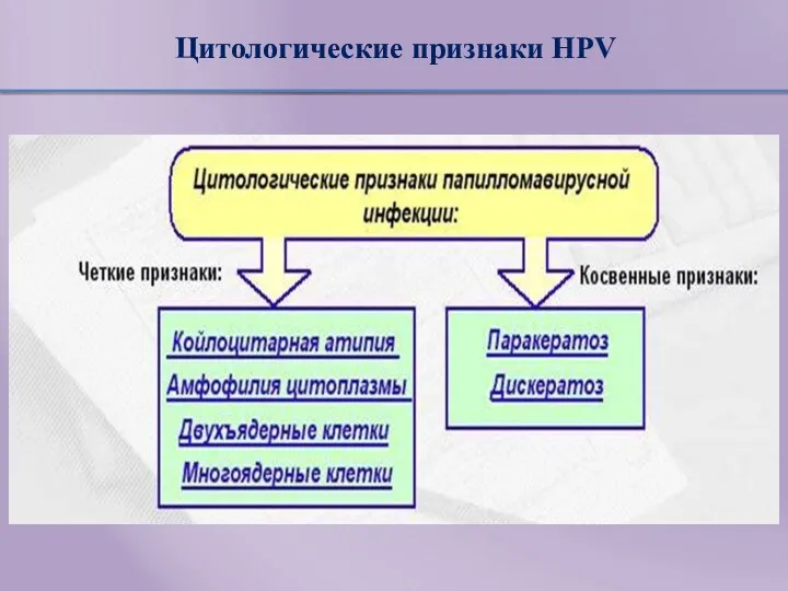 Цитологические признаки HPV