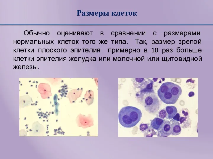 Размеры клеток Обычно оценивают в сравнении с размерами нормальных клеток