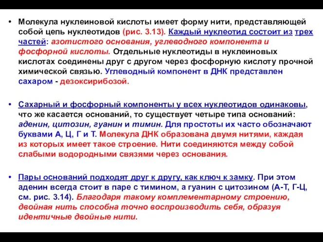 Молекула нуклеиновой кислоты имеет форму нити, представляющей собой цепь нуклеотидов