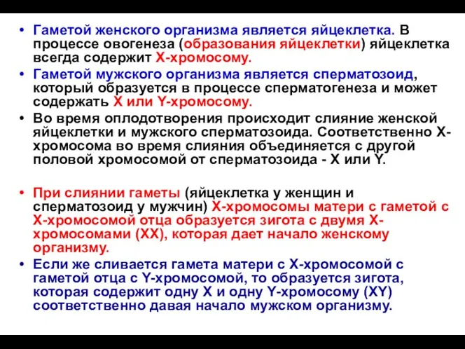 Гаметой женского организма является яйцеклетка. В процессе овогенеза (образования яйцеклетки)