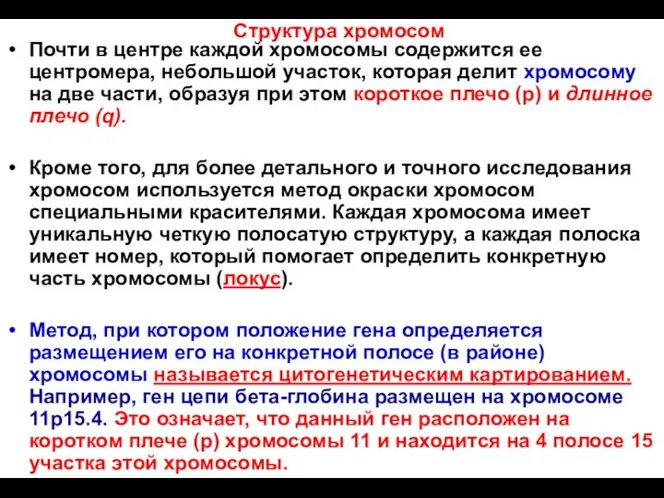 Почти в центре каждой хромосомы содержится ее центромера, небольшой участок,