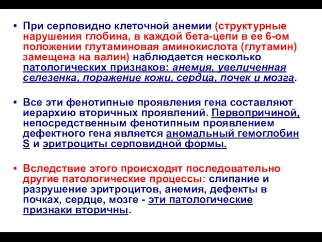 При серповидно клеточной анемии (структурные нарушения глобина, в каждой бета-цепи