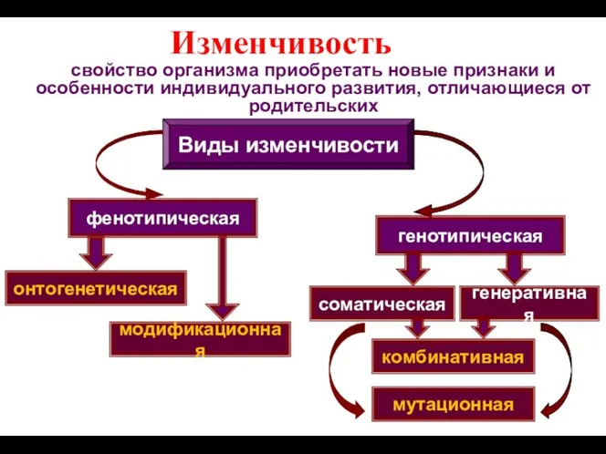 Изменчивость свойство организма приобретать новые признаки и особенности индивидуального развития,