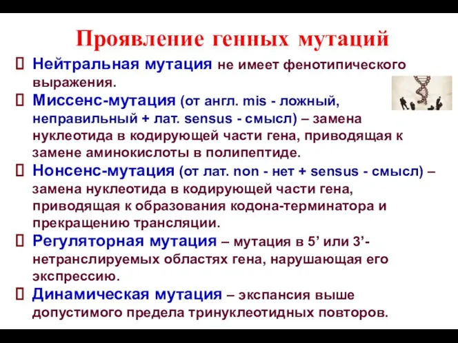 Проявление генных мутаций Нейтральная мутация не имеет фенотипического выражения. Миссенс-мутация