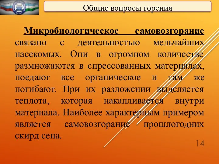 Общие вопросы горения Микробиологическое самовозгорание связано с деятельностью мельчайших насекомых.