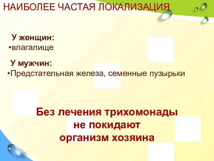 НАИБОЛЕЕ ЧАСТАЯ ЛОКАЛИЗАЦИЯ У женщин: влагалище У мужчин: Предстательная железа,