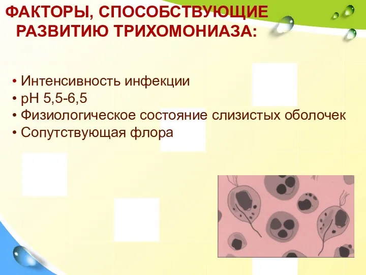 ФАКТОРЫ, СПОСОБСТВУЮЩИЕ РАЗВИТИЮ ТРИХОМОНИАЗА: Интенсивность инфекции pH 5,5-6,5 Физиологическое состояние слизистых оболочек Сопутствующая флора