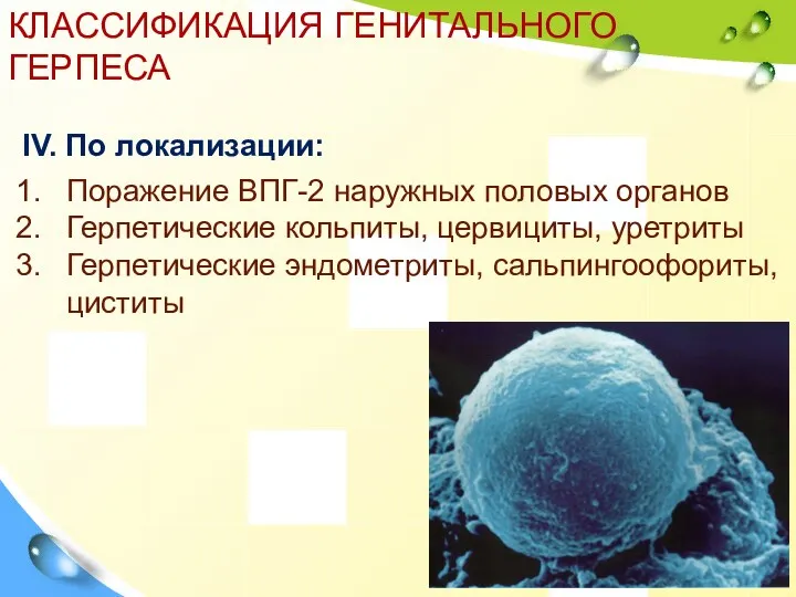 КЛАССИФИКАЦИЯ ГЕНИТАЛЬНОГО ГЕРПЕСА IV. По локализации: Поражение ВПГ-2 наружных половых