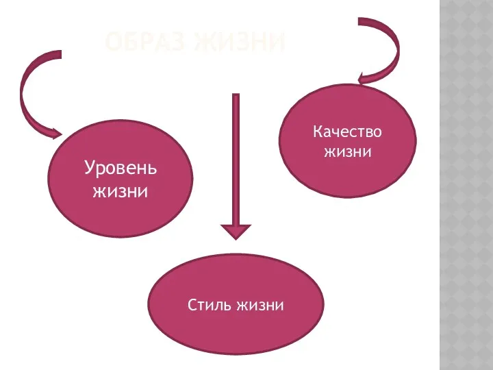 ОБРАЗ ЖИЗНИ Уровень жизни Качество жизни Стиль жизни