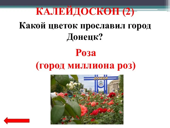 Какой цветок прославил город Донецк? Роза (город миллиона роз) КАЛЕЙДОСКОП (2)