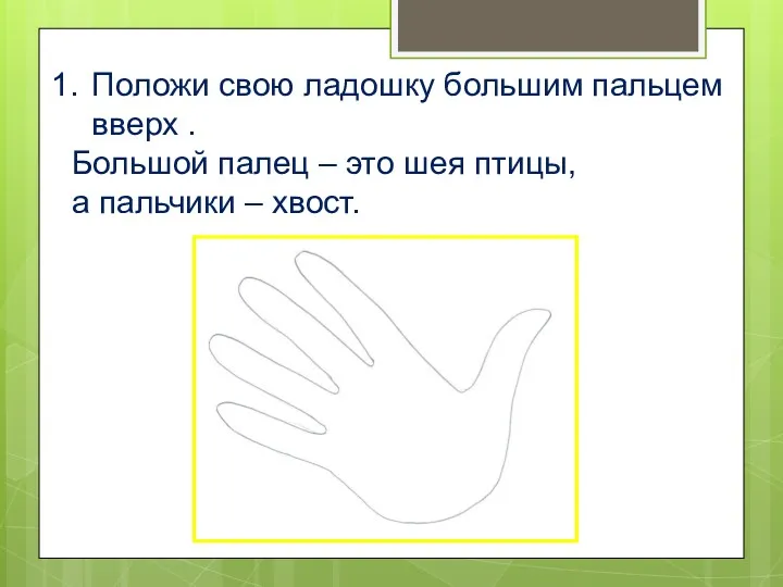 Положи свою ладошку большим пальцем вверх . Большой палец –