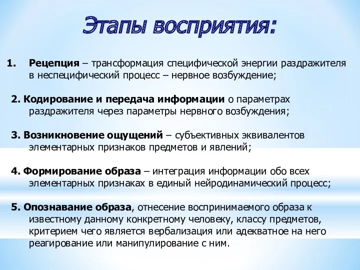 Этапы восприятия: Рецепция – трансформация специфической энергии раздражителя в неспецифический