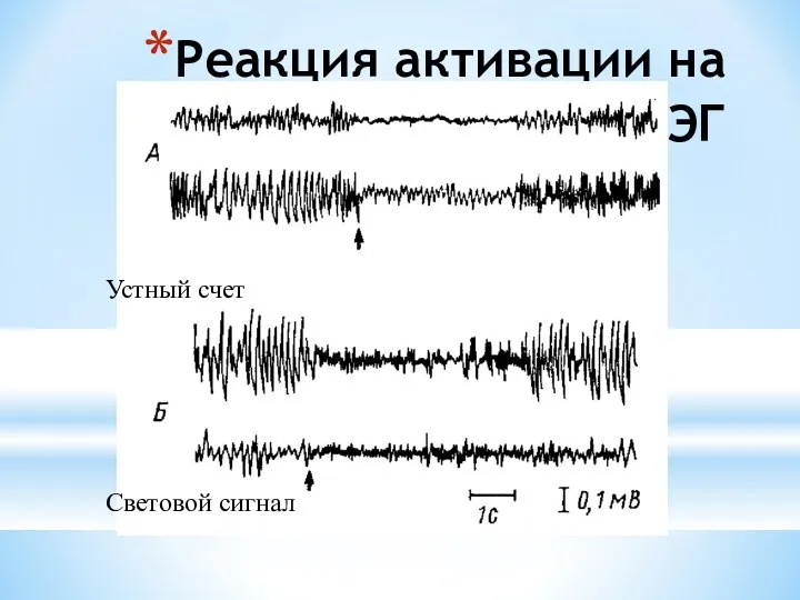 Реакция активации на ЭЭГ Устный счет Световой сигнал