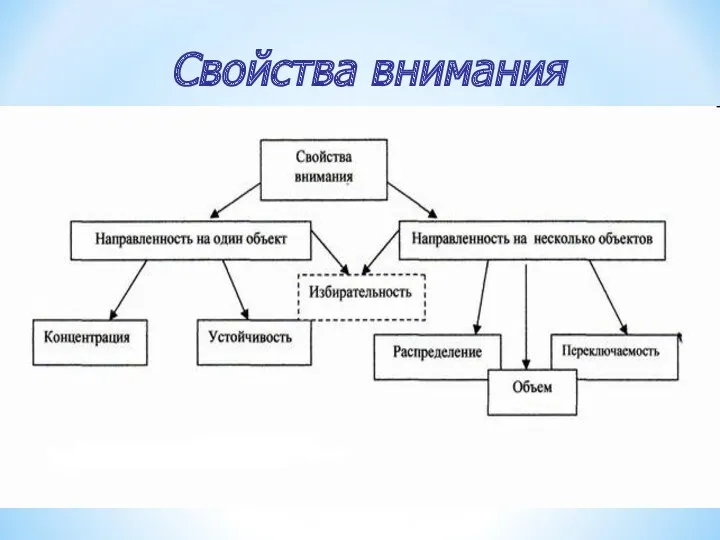 Свойства внимания