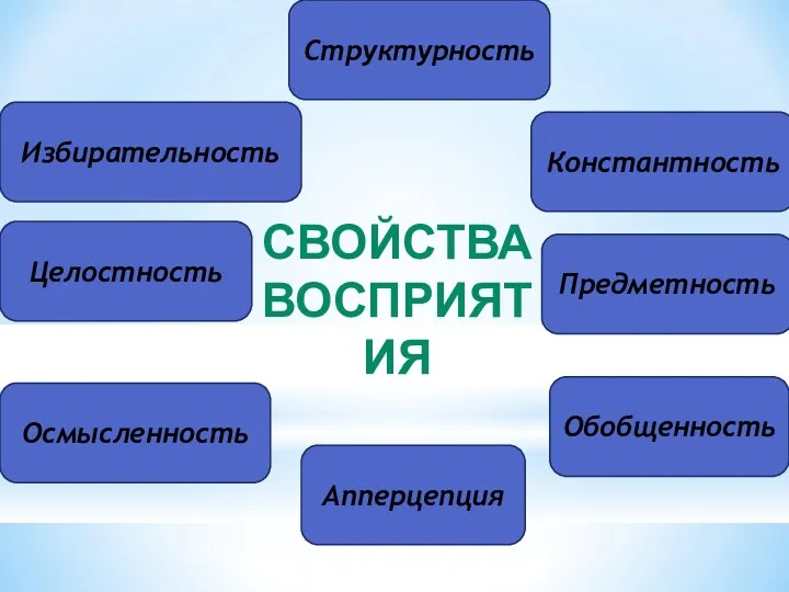 Предметность Апперцепция Константность Избирательность Осмысленность Целостность Структурность Обобщенность СВОЙСТВА ВОСПРИЯТИЯ