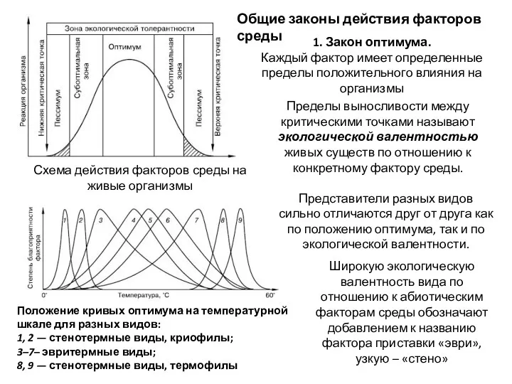 Схема действия факторов среды на живые организмы Положение кривых оптимума на температурной шкале