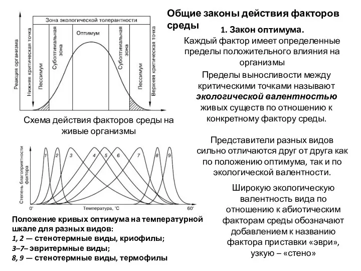 Схема действия факторов среды на живые организмы Положение кривых оптимума