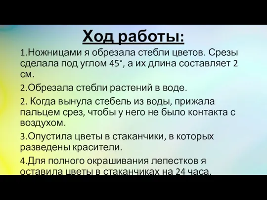 Ход работы: 1.Ножницами я обрезала стебли цветов. Срезы сделала под