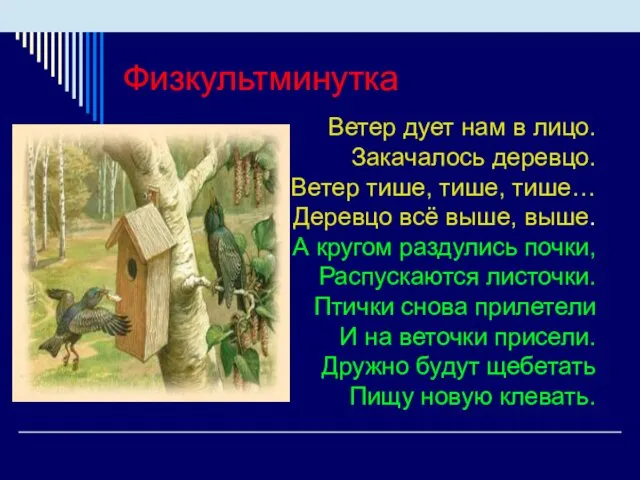 Физкультминутка Ветер дует нам в лицо. Закачалось деревцо. Ветер тише,