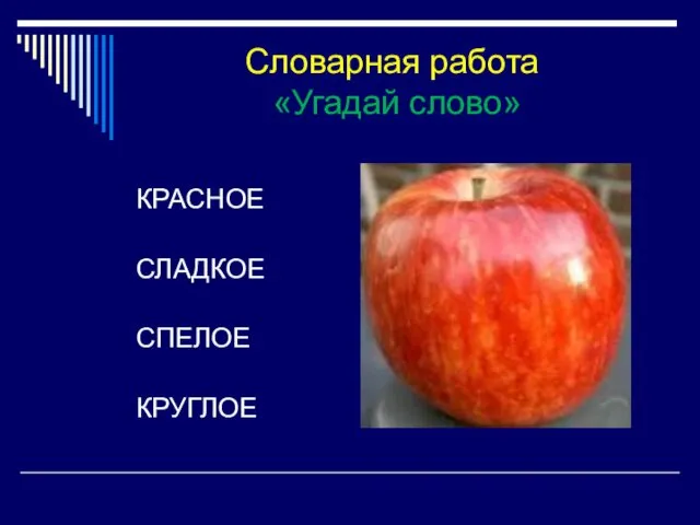 Словарная работа «Угадай слово» КРАСНОЕ СЛАДКОЕ СПЕЛОЕ КРУГЛОЕ