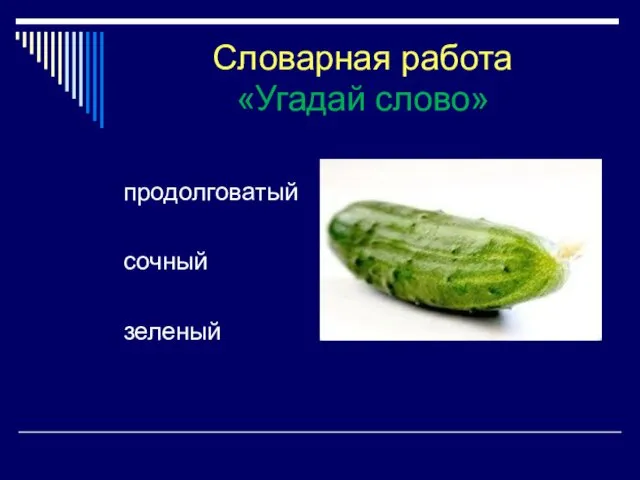 Словарная работа «Угадай слово» продолговатый сочный зеленый