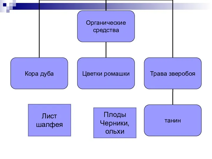 Лист шалфея Плоды Черники, ольхи