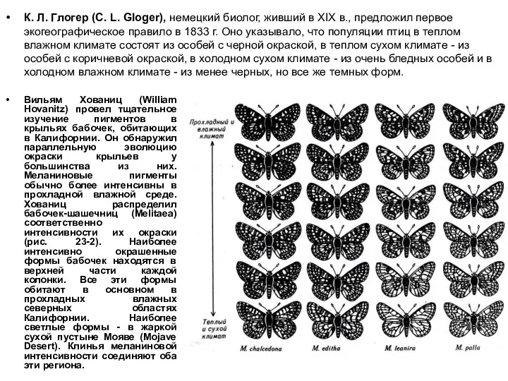 К. Л. Глогер (С. L. Gloger), немецкий биолог, живший в