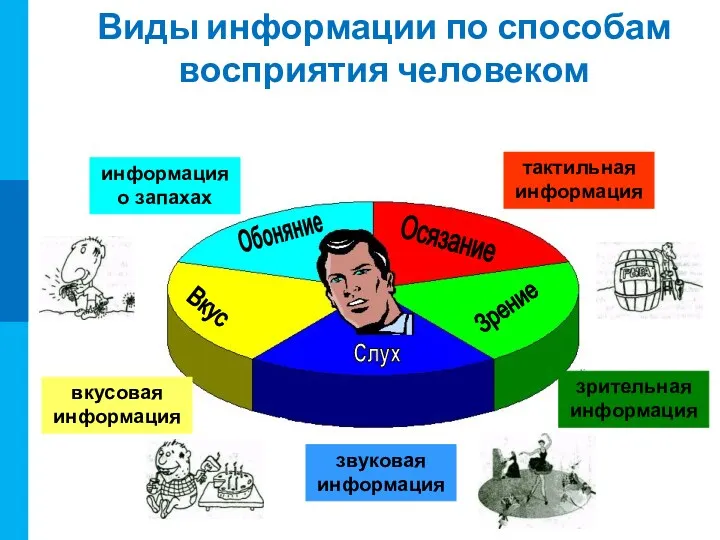 Виды информации по способам восприятия человеком звуковая информация вкусовая информация