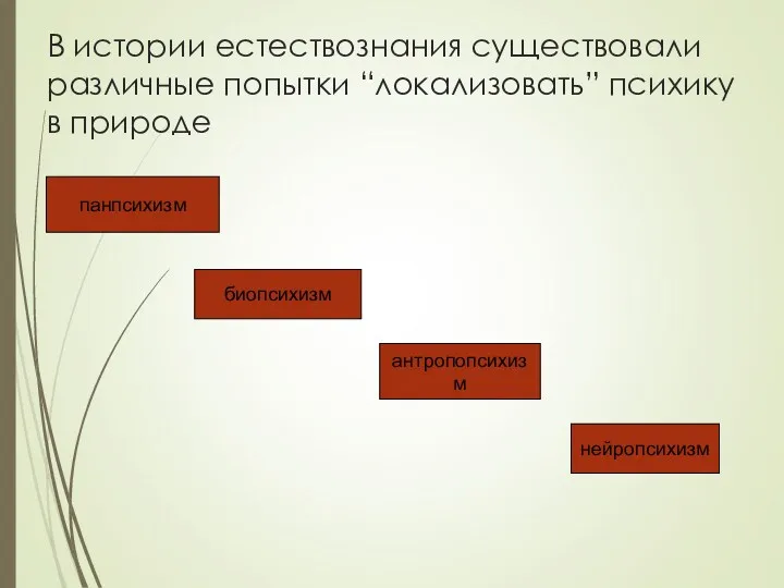 В истории естествознания существовали различные попытки “локализовать” психику в природе панпсихизм биопсихизм антропопсихизм нейропсихизм