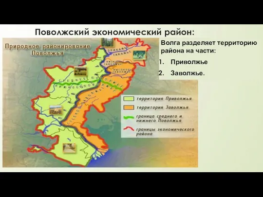 Поволжский экономический район: Волга разделяет территорию района на части: Приволжье Заволжье.