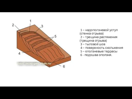 1 – надоползневой уступ (стенка отрыва) 2 – трещина растяжения