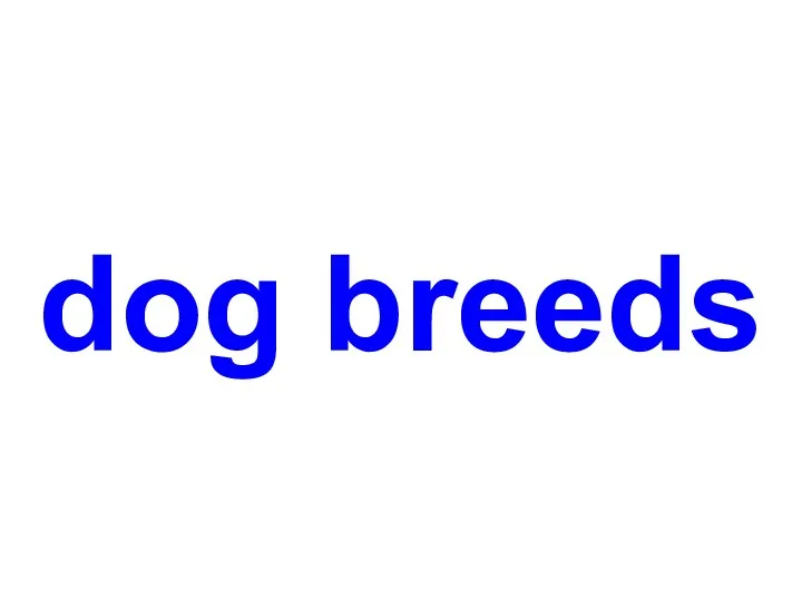 Dog breeds