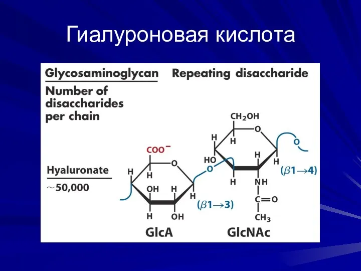 Гиалуроновая кислота