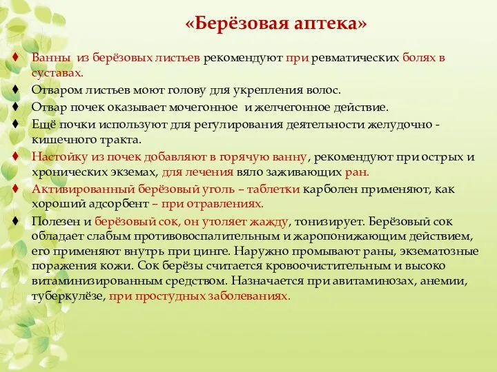 «Берёзовая аптека» Ванны из берёзовых листьев рекомендуют при ревматических болях