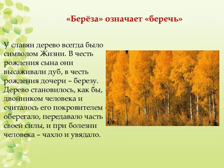 «Берёза» означает «беречь» У славян дерево всегда было символом Жизни.