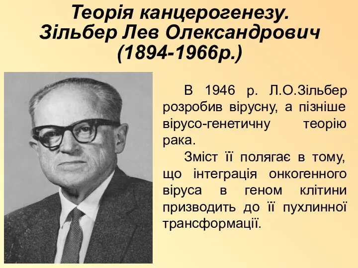 Теорія канцерогенезу. Зільбер Лев Олександрович (1894-1966р.) В 1946 р. Л.О.Зільбер розробив вірусну, а