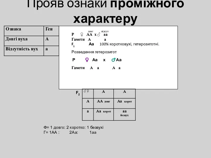 Прояв ознаки проміжного характеру довг відсут Р ♀ АА х