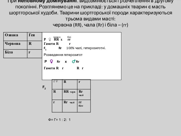 При неповному домінуванні. видозмінюється і розчеплення в другому поколінні. Розглянемо