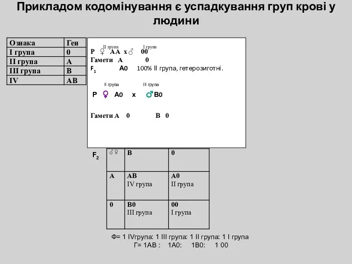 Прикладом кодомінування є успадкування груп крові у людини ІІ група