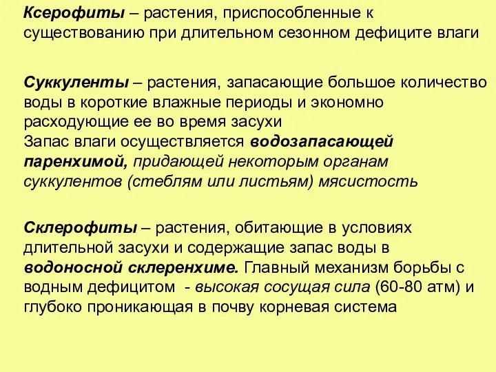 Ксерофиты – растения, приспособленные к существованию при длительном сезонном дефиците влаги Суккуленты –