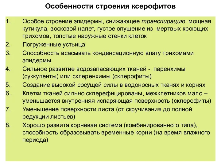 Особенности строения ксерофитов Особое строение эпидермы, снижающее транспирацию: мощная кутикула, восковой налет, густое