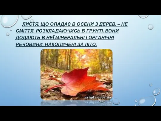 ЛИСТЯ, ЩО ОПАДАЄ В ОСЕНИ З ДЕРЕВ, – НЕ СМІТТЯ.