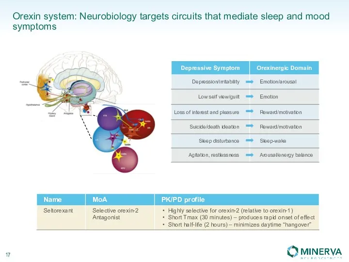 Orexin system: Neurobiology targets circuits that mediate sleep and mood symptoms