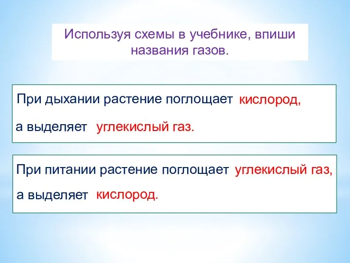 При дыхании растение поглощает а выделяет При питании растение поглощает